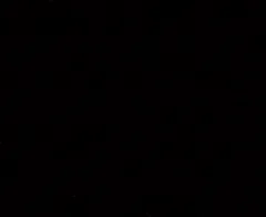 Čokoládově hnědá 008